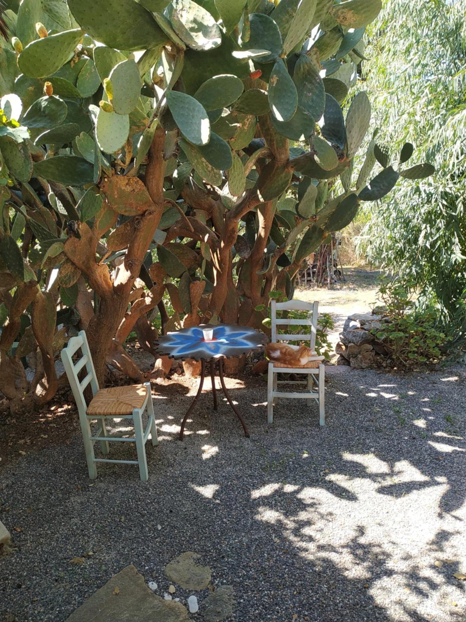 Wellanidia Cottage Skoutari 기티오 외부 사진